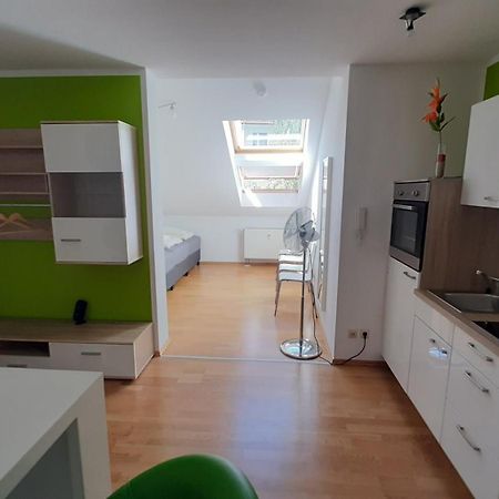 Familienfreundliche Apartments Am Park Вюрцбург Екстер'єр фото