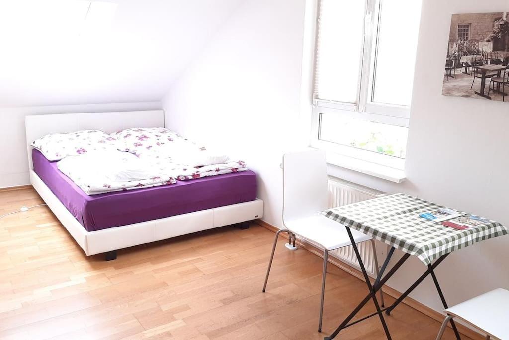 Familienfreundliche Apartments Am Park Вюрцбург Екстер'єр фото