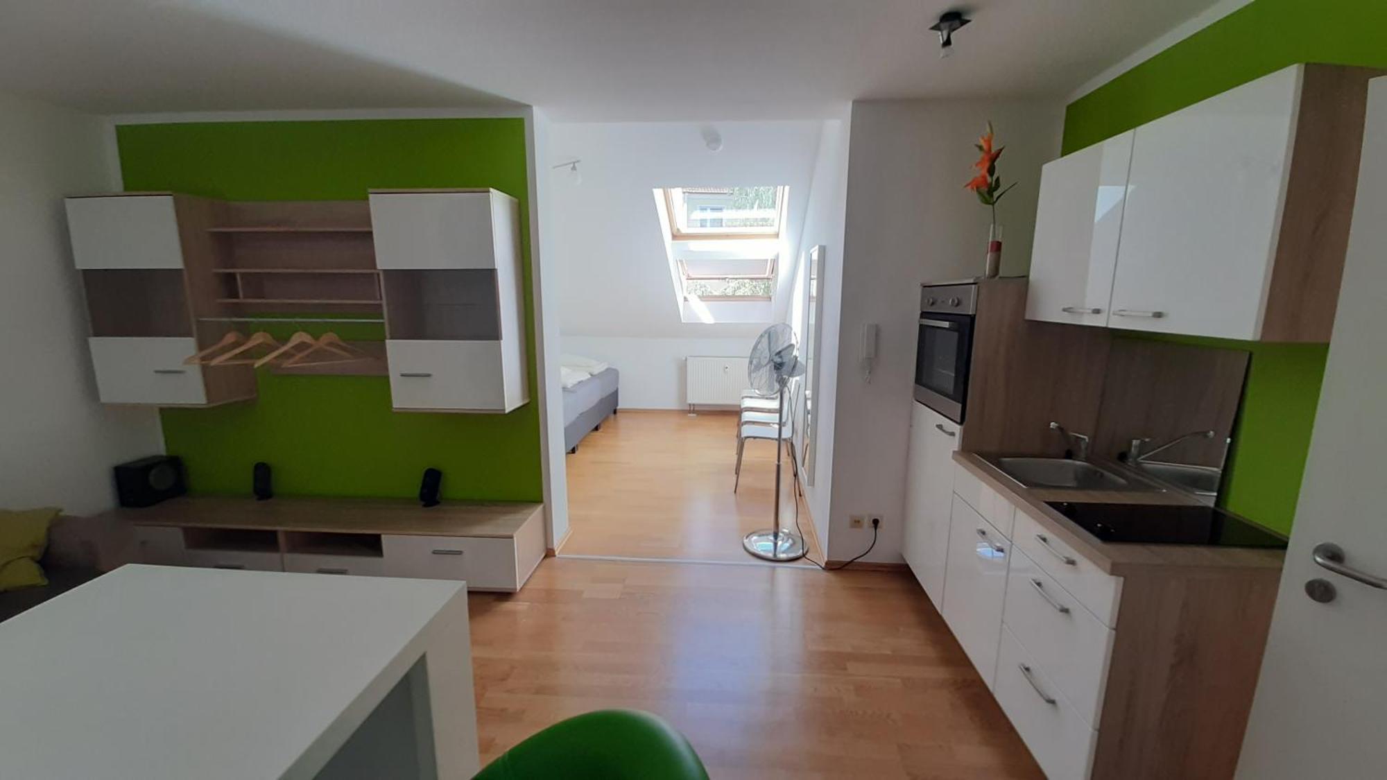 Familienfreundliche Apartments Am Park Вюрцбург Екстер'єр фото